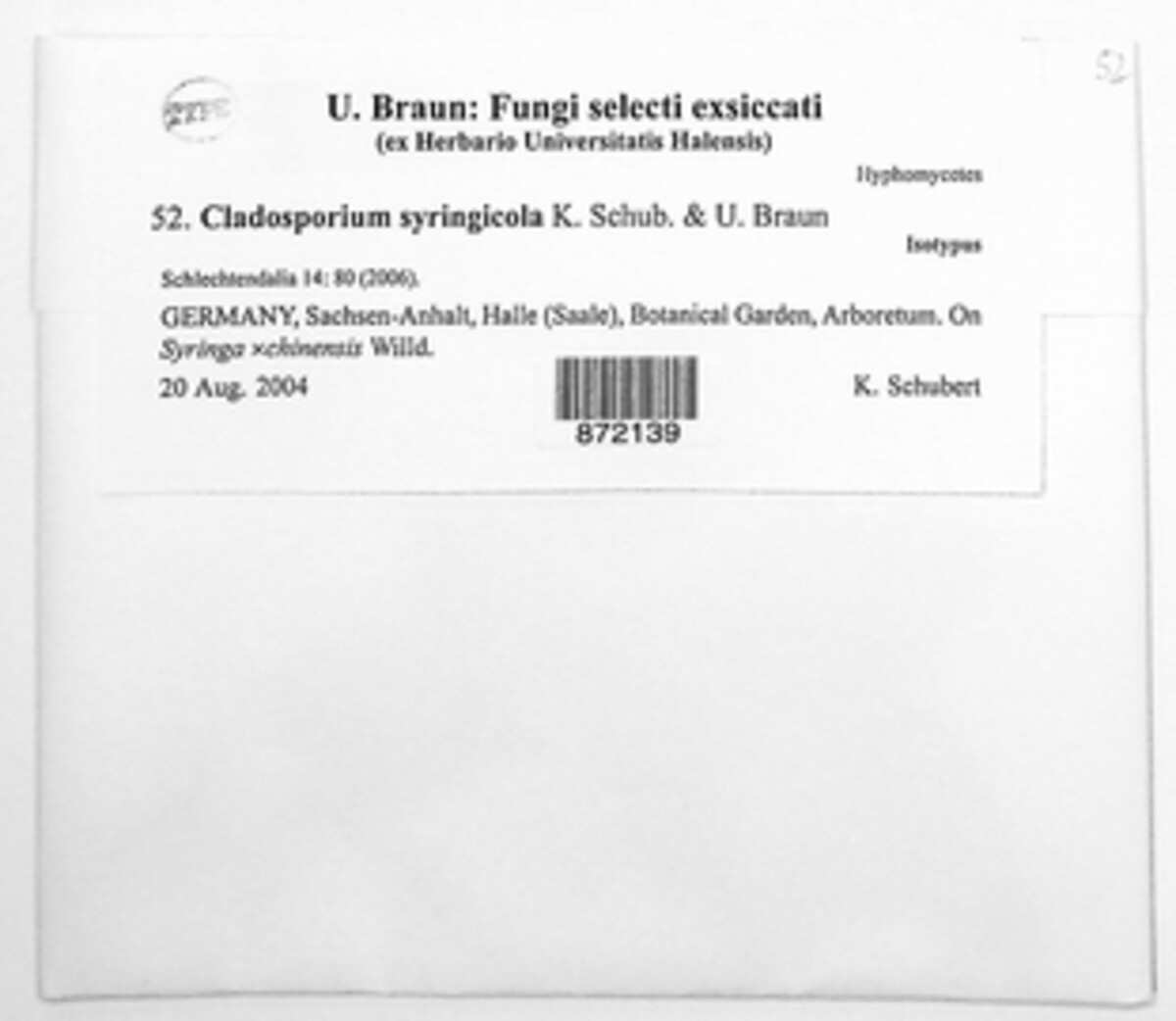 Cladosporium syringicola image